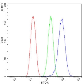 Flow cytometry testing of human U-87 MG cells with Glypican 5 antibody at 1ug/million cells (blocked with goat sera); Red=cells alone, Green=isotype control, Blue= Glypican 5 antibody.