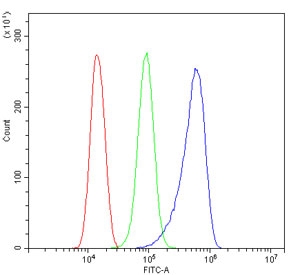 Flow cytometry testing of human ThP-1 cells with MLC1 antibody at 1ug/million cells (blocked with goat sera); Red=cells alone, Green=isotype control, Blue= CD59 antibody.