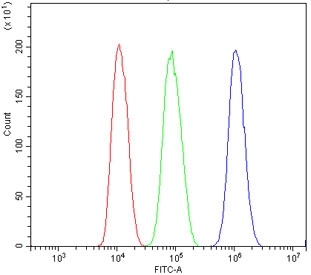 Flow cytometry testing of human HepG2 cells with NFAT5 antibody at 1ug/million cells (blocked with goat sera); Red=cells alone, Green=isotype control, Blue= NFAT5 antibody.