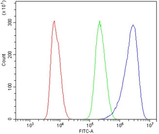 low cytometry testing of rat NRK cells with DR3 antibody at 1ug/million cells (blocked with goat sera); Red=cells alone, Green=isotype control, Blue= DR3 antibody.