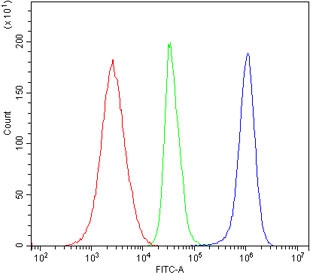 Flow cytometry testing of human Jurkat cells with ZAP70 antibody at 1ug/million cells (blocked with goat sera); Red=cells alone, Green=isotype control, Blue= ZAP70 antibody.