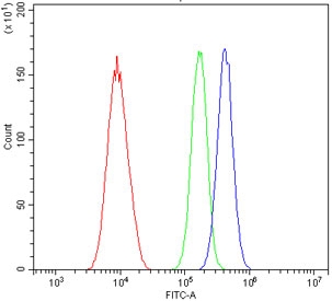 Flow cytometry testing of human A549 cells with Retinoid X Receptor alpha antibody at 1ug/million cells (blocked with goat sera); Red=cells alone, Green=isotype control, Blue= Retinoid X Receptor alpha antibody.