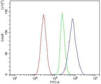 Flow cytometry testing of rat RH35 cells with Par1 antibody at 1ug/million cells (blocked with goat sera); Red=cells alone, Green=isotype control, Blue= Par1 antibody.