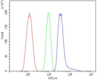 Flow cytometry testing of human HL60 cells with Helios antibody at 1ug/million cells (blocked with goat sera); Red=cells alone, Green=isotype control, Blue= Helios antibody.