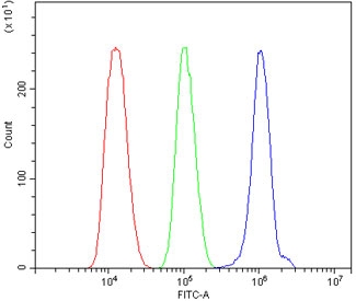 Flow cytometry testing of human ThP-1 cells with Toll-like Receptor 1 antibody at 1ug/million cells (blocked with goat sera); Red=cells alone, Green=isotype control, Blue= Toll-like Receptor 1 antibody.