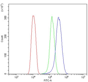 Flow cytometry testing of mouse HEPA1-6 cells with Insig1 antibody at 1ug/million cells (blocked with goat sera); Red=cells alone, Green=isotype control, Blue= Insig1 antibody.