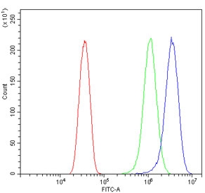 Flow cytometry testing of human HeLa cells with RAPGEF2 antibody at 1ug/million cells (blocked with goat sera); Red=cells alone, Green=isotype control, Blue= RAPGEF2 antibody.