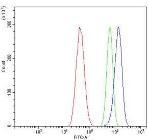 Flow cytometry testing of human U-87 MG cells with RAPGEF3 antibody at 1ug/million cells (blocked with goat sera); Red=cells alone, Green=isotype control, Blue= RAPGEF3 antibody.