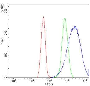 Flow cytometry testing of human A431 cells with ICAD antibody at 1ug/million cells (blocked with goat sera); Red=cells alone, Green=isotype control, Blue= ICAD antibody.