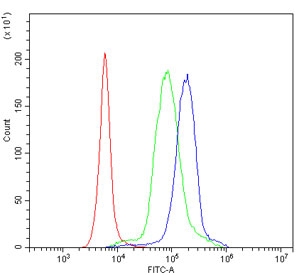 Flow cytometry testing of human PBM cells with Interleukin 15 antibody at 1ug/million cells (blocked with goat sera); Red=cells alone, Green=isotype control, Blue= Interleukin 15 antibody.