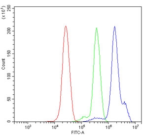 Flow cytometry testing of human ThP-1 cells with NALP3 antibody at 1ug/million cells (blocked with goat sera); Red=cells alone, Green=isotype control, Blue= NALP3 antibody.