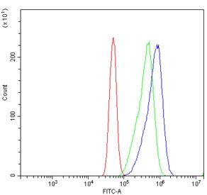 Flow cytometry testing of human Caco-2 cells with PROM1 antibody at 1ug/million cells (blocked with goat sera); Red=cells alone, Green=isotype control, Blue= PROM1 antibody.