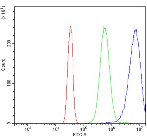 Flow cytometry testing of human Neuro-2a cells with Oat3 antibody at 1ug/million cells (blocked with goat sera); Red=cells alone, Green=isotype control, Blue= Oat3 antibody.