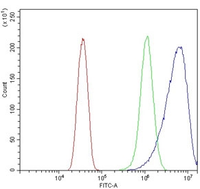 Flow cytometry testing of human HeLa cells with cPLA2-beta antibody at 1ug/million cells (blocked with goat sera); Red=cells alone, Green=isotype control, Blue= cPLA2-beta antibody.