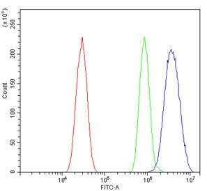 Flow cytometry testing of mouse HEPA1-6 cells with Irf3 antibody at 1ug/million cells (blocked with goat sera); Red=cells alone, Green=isotype control, Blue= Irf3 antibody.