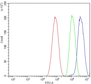 Flow cytometry testing of human HepG2 cells with Clathrin heavy chain antibody at 1ug/million cells (blocked with goat sera); Red=cells alone, Green=isotype control, Blue= Clathrin heavy chain antibody.