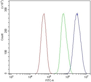 Flow cytometry testing of human U-87 MG cells with Myb-related protein A antibody at 1ug/million cells (blocked with goat sera); Red=cells alone, Green=isotype control, Blue= Myb-related protein A antibody.