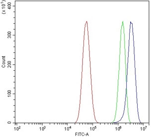 Flow cytometry testing of human U-87 MG cells with CYP3A4 antibody at 1ug/million cells (blocked with goat sera); Red=cells alone, Green=isotype control, Blue= CYP3A4 antibody.