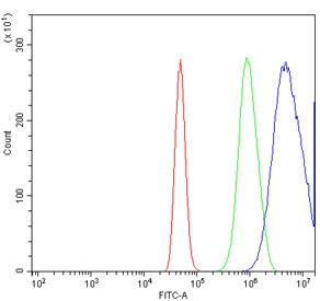 Flow cytometry testing of human A431 cells with Proteasome subunit beta type-6 antibody at 1ug/million cells (blocked with goat sera); Red=cells alone, Green=isotype control, Blue= Proteasome subunit beta type-6 antibody.