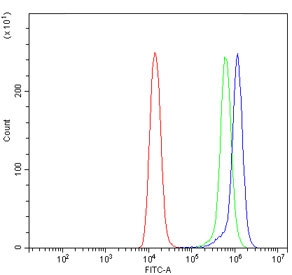 Flow cytometry testing of human Raji cells with AP2A1 antibody at 1ug/million cells (blocked with goat sera); Red=cells alone, Green=isotype control, Blue= AP2A1 antibody.