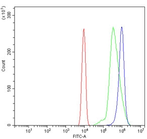 Flow cytometry testing of mouse ANA-1 cells with Gbp2 antibody at 1ug/million cells (blocked with goat sera); Red=cells alone, Green=isotype control, Blue= Gbp2 antibody.