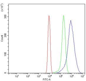 Flow cytometry testing of mouse ANA-1 cells with Hjurp antibody at 1ug/million cells (blocked with goat sera); Red=cells alone, Green=isotype control, Blue= Hjurp antibody.