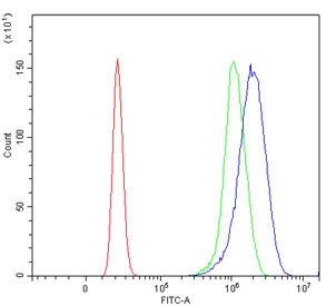 Flow cytometry testing of human U-2 OS cells with CCNT1 antibody at 1ug/million cells (blocked with goat sera); Red=cells alone, Green=isotype control, Blue= CCNT1 antibody.
