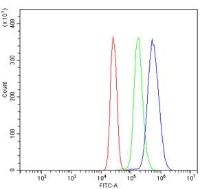 Flow cytometry testing of human U937 cells with NOX2/gp91phox antibody at 1ug/million cells (blocked with goat sera); Red=cells alone, Green=isotype control, Blue= NOX2/gp91phox antibody.