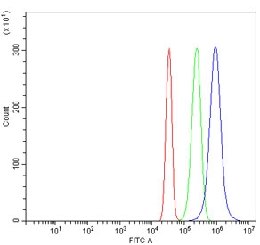 Flow cytometry testing of human SiHa cells with ERLEC1 antibody at 1ug/million cells (blocked with goat sera); Red=cells alone, Green=isotype control, Blue= ERLEC1 antibody.
