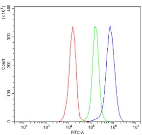 Flow cytometry testing of human JK-1 cells with HS2ST1 antibody at 1ug/million cells (blocked with goat sera); Red=cells alone, Green=isotype control, Blue= HS2ST1 antibody.