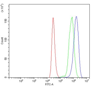 Flow cytometry testing of human ThP-1 cells with MYC antibody at 1ug/million cells (blocked with goat sera); Red=cells alone, Green=isotype control, Blue= MYC antibody.