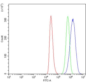 Flow cytometry testing of human ThP-1 cells with RNF8 antibody at 1ug/million cells (blocked with goat sera); Red=cells alone, Green=isotype control, Blue= RNF8 antibody.