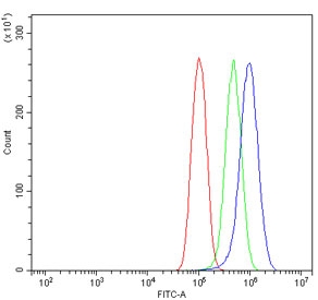 Flow cytometry testing of human PC-3 cells with GIT2 antibody at 1ug/million cells (blocked with goat sera); Red=cells alone, Green=isotype control, Blue= GIT2 antibody.