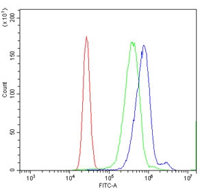 Flow cytometry testing of human K562 cells with Sentrin-specific protease 1 antibody at 1ug/million cells (blocked with goat sera); Red=cells alone, Green=isotype control, Blue= Sentrin-specific protease 1 antibody.