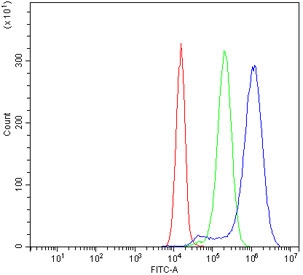 Flow cytometry testing of human JK-1 cells with CD2 antibody at 1ug/million cells (blocked with goat sera); Red=cells alone, Green=isotype control, Blue= CD2 antibody.