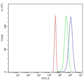Flow cytometry testing of human U-251 cells with POLA2 antibody at 1ug/million cells (blocked with goat sera); Red=cells alone, Green=isotype control, Blue= POLA2 antibody.