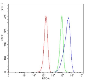Flow cytometry testing of mouse ANA-1 cells with C5Bantibody at 1ug/million cells (blocked with goat sera); Red=cells alone, Green=isotype control, Blue= C5B antibody.