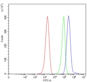 Flow cytometry testing of mouse ANA-1 cells with Cd86 antibody at 1ug/million cells (blocked with goat sera); Red=cells alone, Green=isotype control, Blue= Cd86 antibody.