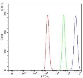 Flow cytometry testing of human Raji cells with CIITA antibody at 1ug/million cells (blocked with goat sera); Red=cells alone, Green=isotype control, Blue= CIITA antibody.