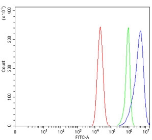 Flow cytometry testing of human Caco-2 cells with GAST antibody at 1ug/million cells (blocked with goat sera); Red=cells alone, Green=isotype control, Blue= GAST antibody.
