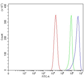 Flow cytometry testing of human Caco-2 cells with Glutaminase 2 antibody at 1ug/million cells (blocked with goat sera); Red=cells alone, Green=isotype control, Blue= Glutaminase 2 antibody.