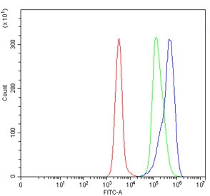 Flow cytometry testing of human Daudi cells with L1RE1 antibody at 1ug/million cells (blocked with goat sera); Red=cells alone, Green=isotype control, Blue= L1RE1 antibody.