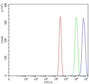 Flow cytometry testing of human A431 cells with MUC1 antibody at 1ug/million cells (blocked with goat sera); Red=cells alone, Green=isotype control, Blue= MUC1 antibody.