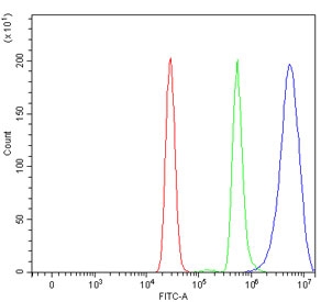 Flow cytometry testing of human U937 cells with Ancient ubiquitous protein 1 antibody at 1ug/million cells (blocked with goat sera); Red=cells alone, Green=isotype control, Blue= Ancient ubiquitous protein 1 antibody.