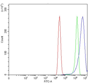 Flow cytometry testing of human MCF7 cells with DCT antibody at 1ug/million cells (blocked with goat sera); Red=cells alone, Green=isotype control, Blue= DCT antibody.