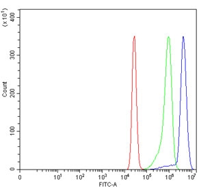 Flow cytometry testing of human K562 cells with Early growth response protein 1 antibody at 1ug/million cells (blocked with goat sera); Red=cells alone, Green=isotype control, Blue= Early growth response protein 1 antibody.