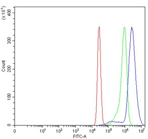 Flow cytometry testing of human K562 cells with Transcription factor Sp6 antibody at 1ug/million cells (blocked with goat sera); Red=cells alone, Green=isotype control, Blue= Transcription factor Sp6 antibody.