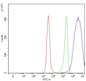 Flow cytometry testing of human Daudi cells with Solo antibody at 1ug/million cells (blocked with goat sera); Red=cells alone, Green=isotype control, Blue= Solo antibody.