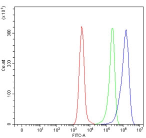 Flow cytometry testing of human Daudi cells with UDP-glucuronosyltransferase 1A10 antibody at 1ug/million cells (blocked with goat sera); Red=cells alone, Green=isotype control, Blue= UDP-glucuronosyltransferase 1A10 antibody.