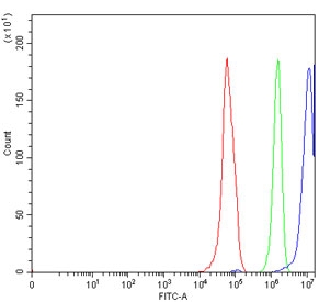 Flow cytometry testing of human RT4 cells with ERCC1 antibody at 1ug/million cells (blocked with goat sera); Red=cells alone, Green=isotype control, Blue= ERCC1 antibody.